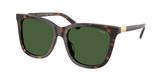 POLO PH4201U Sunglasses