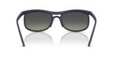 Ray Ban RB4452 Sunglasses