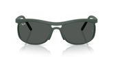 Ray Ban RB4452 Sunglasses