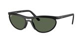 Ray Ban RB4453 Sunglasses