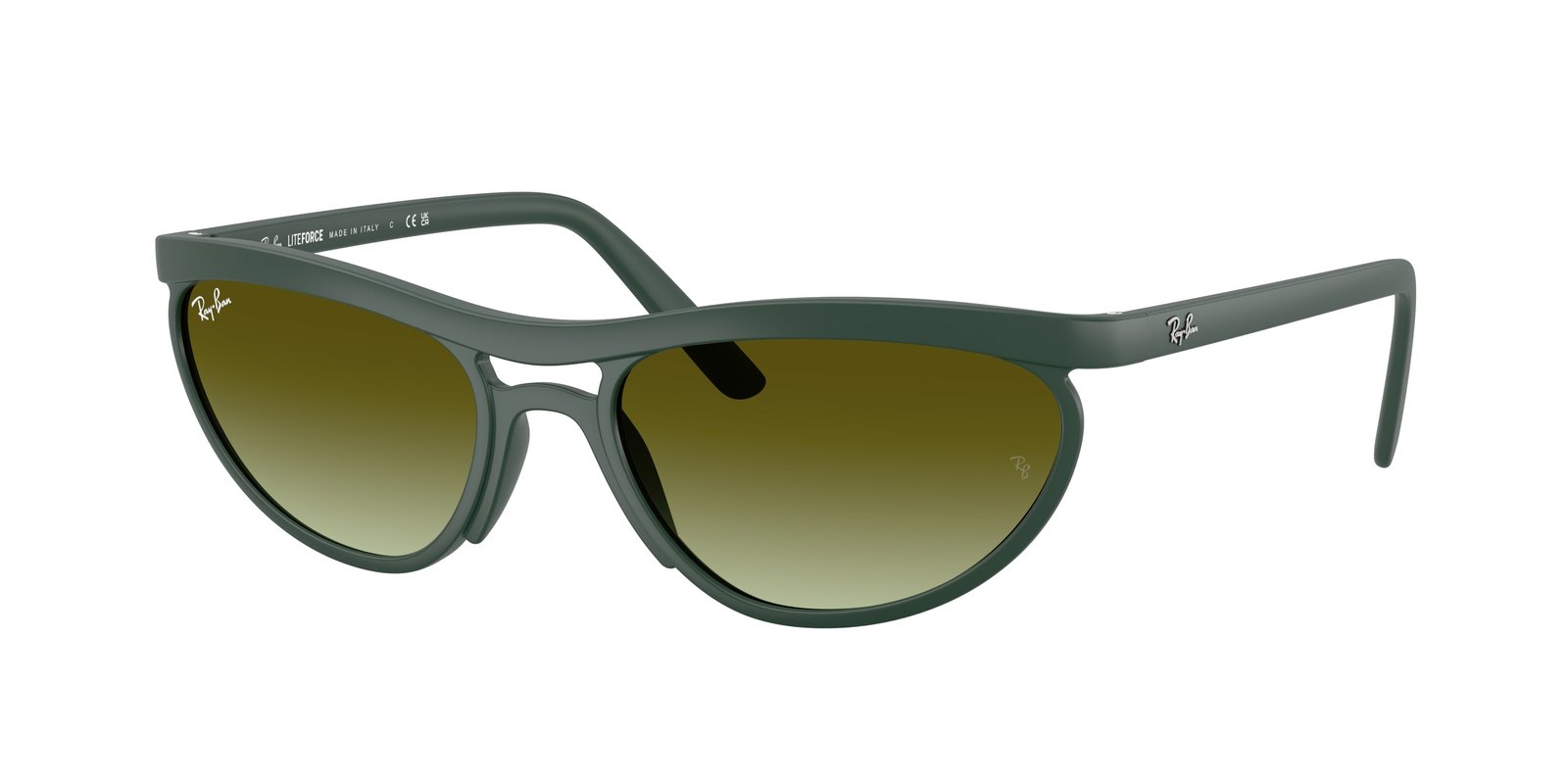Ray Ban RB4453 Sunglasses