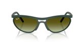 Ray Ban RB4453 Sunglasses