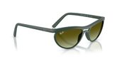 Ray Ban RB4453 Sunglasses