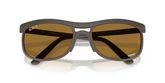Ray Ban RB4452CH Sunglasses