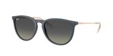 Ray Ban RB4171 ERIKA Sunglasses