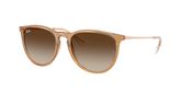 Ray Ban RB4171 ERIKA Sunglasses