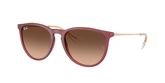 Ray Ban RB4171 ERIKA Sunglasses