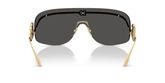 Dolce & Gabbana DG2320 Sunglasses