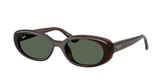 Ray Ban RB4441D Sunglasses