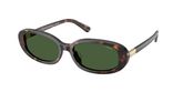 POLO PH4198U Sunglasses