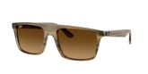 Ray Ban RB2222 Sunglasses