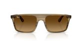 Ray Ban RB2222 Sunglasses