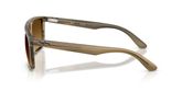 Ray Ban RB2222 Sunglasses