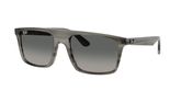 Ray Ban RB2222 Sunglasses