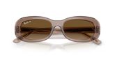 Ray Ban RB2221 Sunglasses