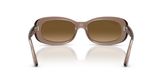Ray Ban RB2221 Sunglasses