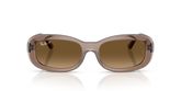 Ray Ban RB2221 Sunglasses