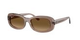Ray Ban RB2221 Sunglasses