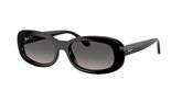 Ray Ban RB2221 Sunglasses