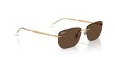 Ray Ban RB3768 Sunglasses