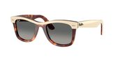 Ray Ban RB2240 WAYFARER Sunglasses