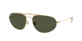 Ray Ban RB3945 Sunglasses