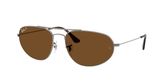 Ray Ban RB3945 Sunglasses