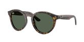 Ray Ban RBR0505S Sunglasses