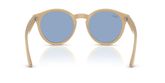 Ray Ban RBR0505S Sunglasses