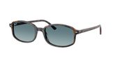 Ray Ban RB2232F Sunglasses
