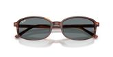 Ray Ban RB2232F Sunglasses