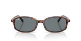 Ray Ban RB2232F Sunglasses