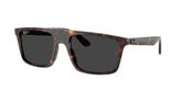 Ray Ban RB2222F Sunglasses