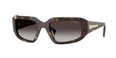 Vogue VO5688SB Sunglasses