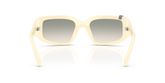 Vogue VO5688SB Sunglasses