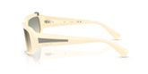 Vogue VO5688SB Sunglasses