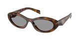 Prada PR 26ZS Sunglasses
