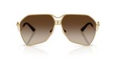 Dolce & Gabbana DG2326 Sunglasses