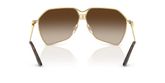 Dolce & Gabbana DG2326 Sunglasses
