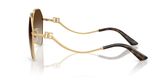 Dolce & Gabbana DG2326 Sunglasses
