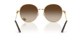 Dolce & Gabbana DG2324 Sunglasses