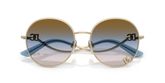 Dolce & Gabbana DG2324 Sunglasses