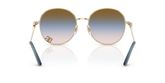 Dolce & Gabbana DG2324 Sunglasses