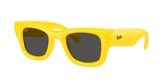Ray Ban RB4940 WAYFARER PUFFER Sunglasses