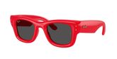 Ray Ban RB4940 WAYFARER PUFFER Sunglasses