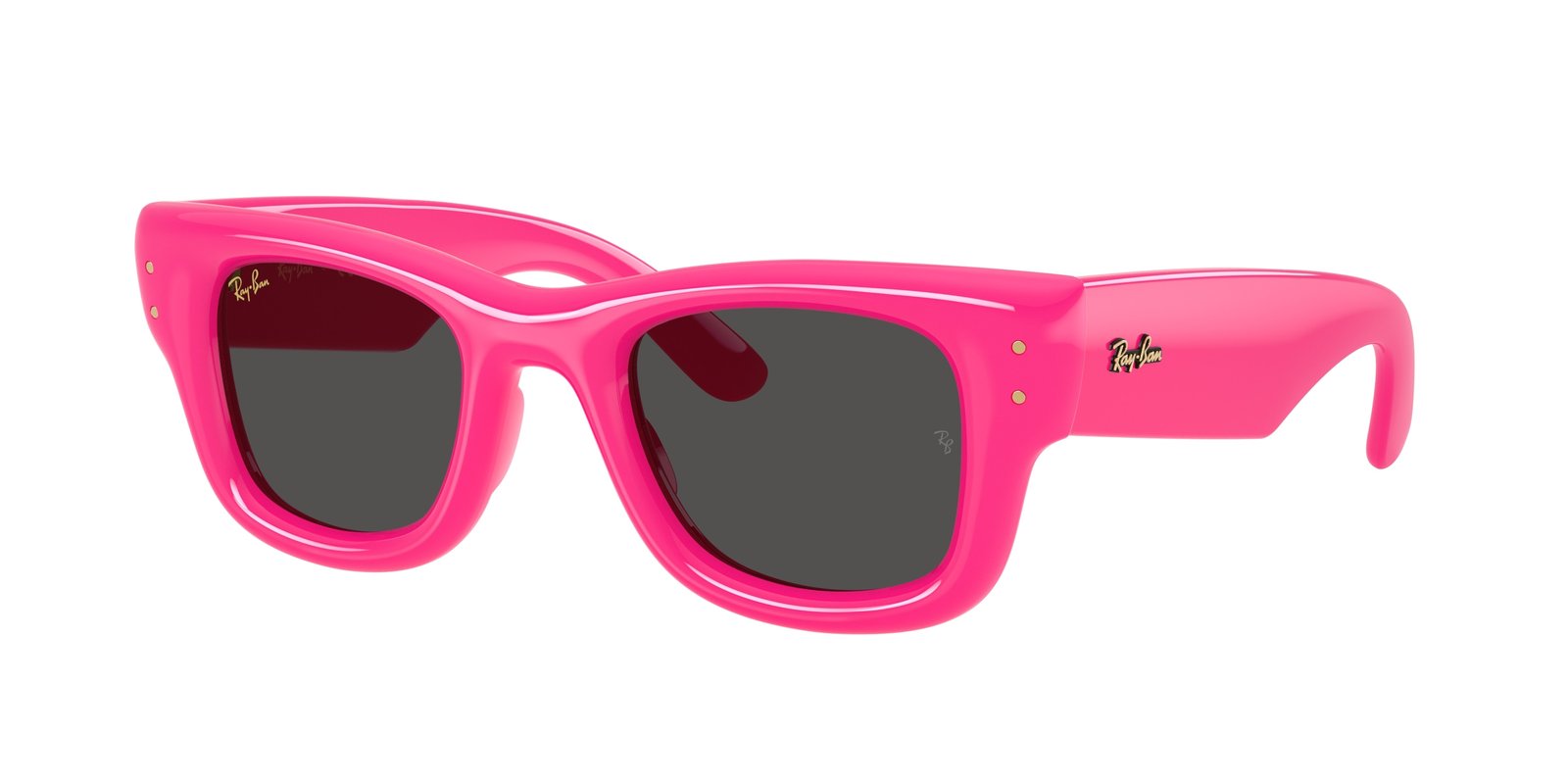 Ray Ban RB4940 WAYFARER PUFFER Sunglasses