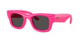 Ray Ban RB4940 WAYFARER PUFFER Sunglasses