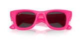 Ray Ban RB4940 WAYFARER PUFFER Sunglasses
