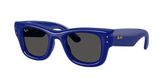 Ray Ban RB4940 WAYFARER PUFFER Sunglasses