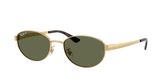 Ray Ban RB3774D Sunglasses